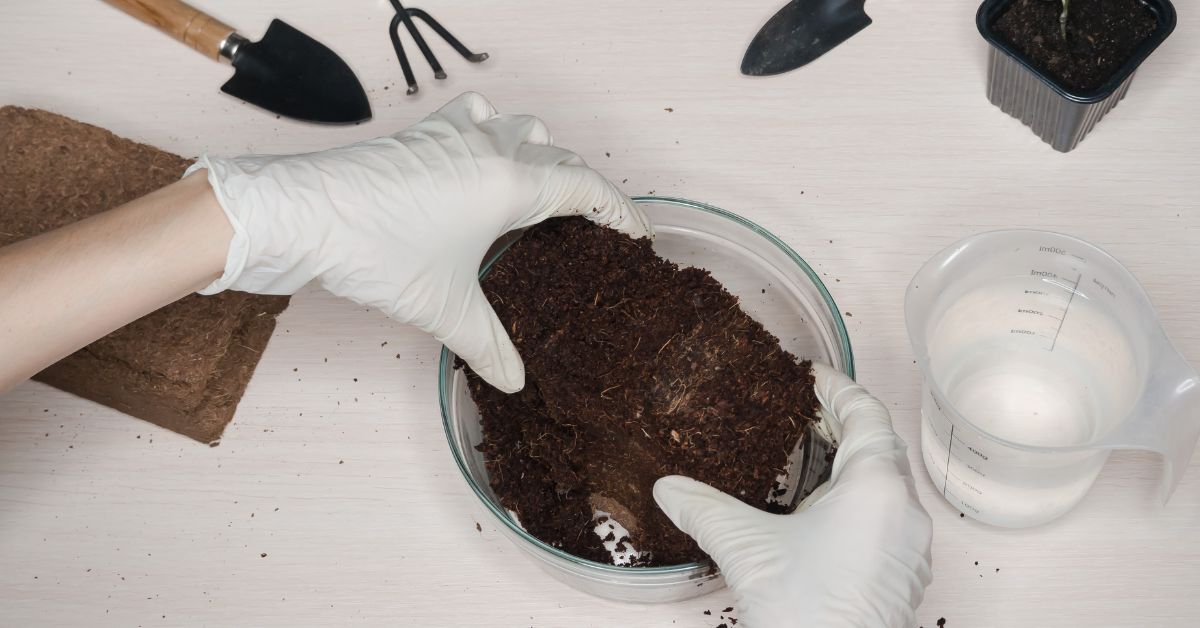 Kokosov Supstrat ili zemlja