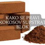 kako se pravi kokosovo supstart blok