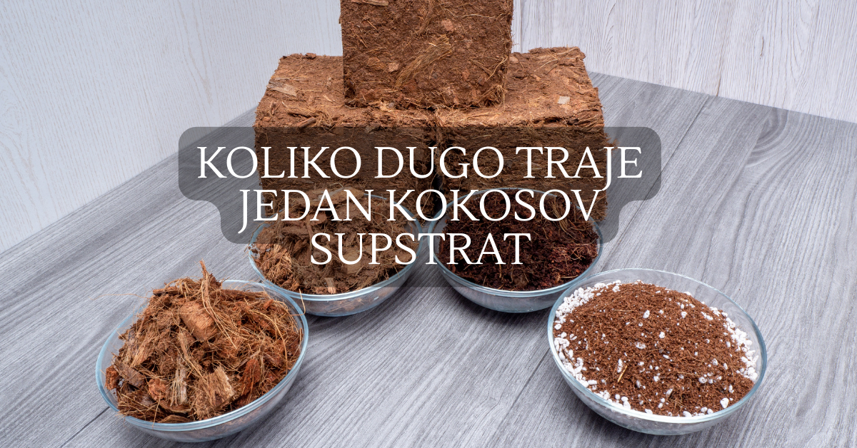 Koliko dugo traje jedan kokosov supstrat u upotrebi