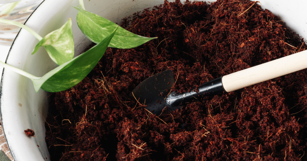 oliko dugo traje jedan kokosov supstrat