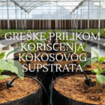 greške prilikom korišćenja kokosovog supstrata