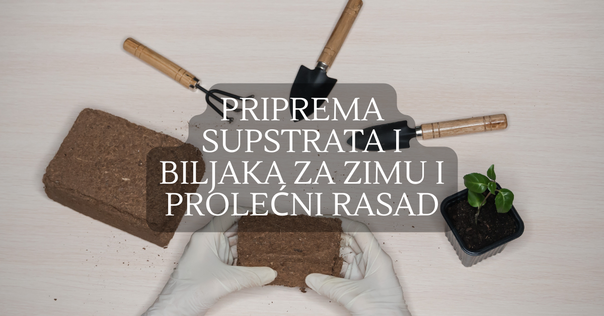 Priprema supstrata i biljaka za zimu i prolećni rasad