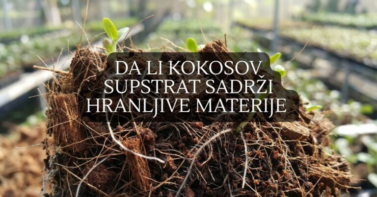 Da li kokosov supstrat sadrži hranljive materije i kako utiče na prinos